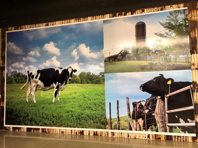Graphics & Wall Murals in Traverse City
